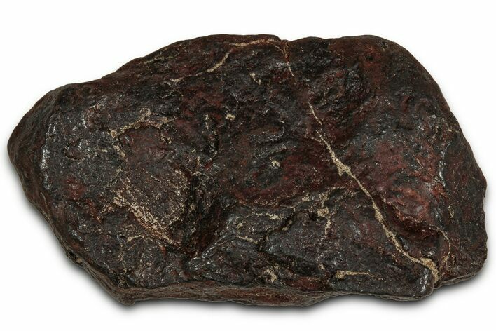 Canyon Diablo Iron Meteorite ( g) - Arizona #356005